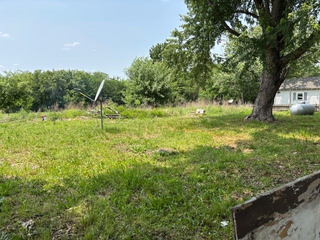 605 High St, Linneus, MO 64653 - view of yard
