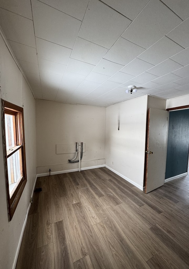 basement featuring hardwood / wood-style floors