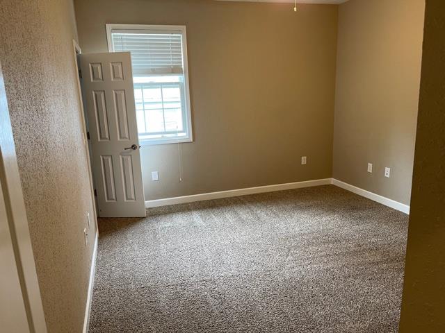 unfurnished room with carpet floors