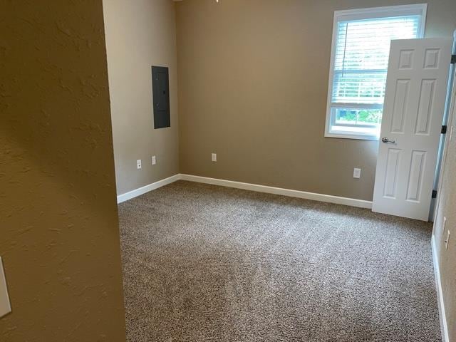 carpeted spare room featuring electric panel