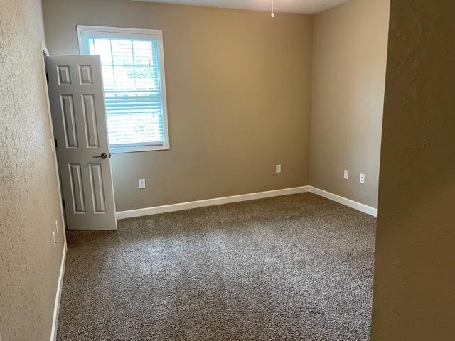 carpeted spare room with ceiling fan