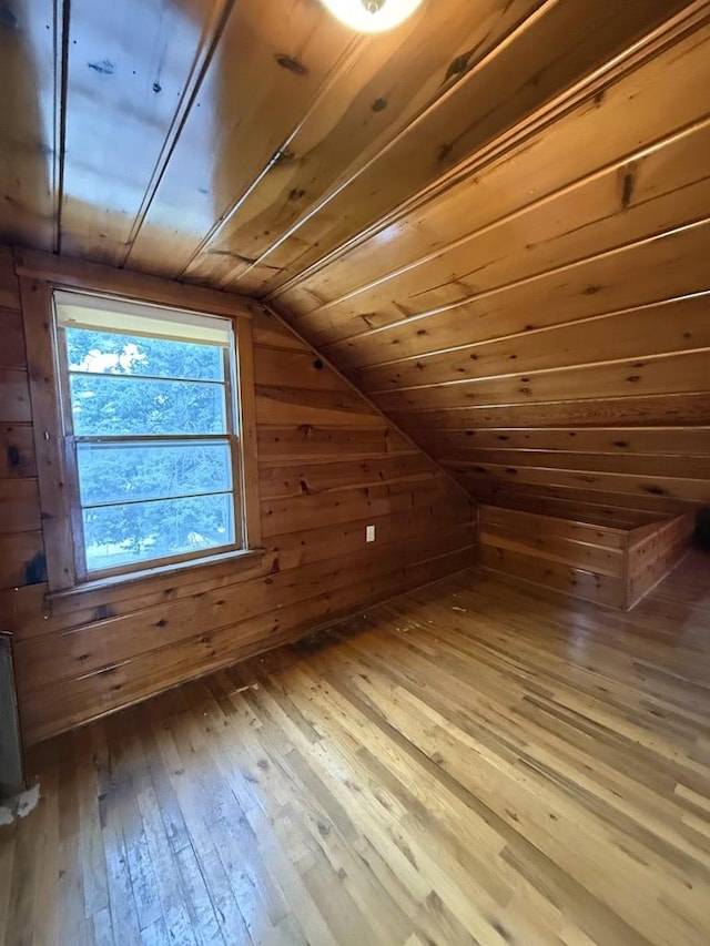 1316 Porter, Kirksville, MO 63501 - bonus room featuring lofted ceiling, wooden ceiling, wooden walls, a sauna, and wood-type flooring