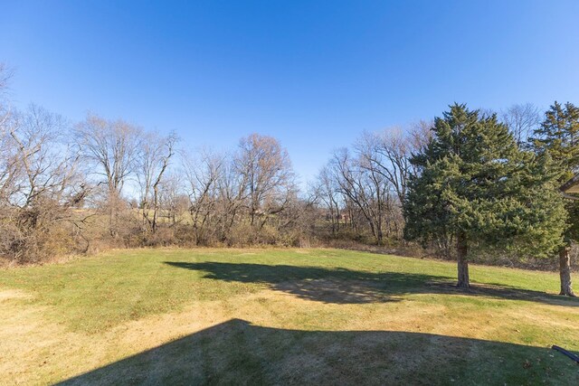 500 W Santa Fe St, Marceline, MO 64658 - view of yard
