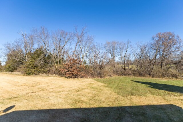 500 W Santa Fe St, Marceline, MO 64658 - view of yard