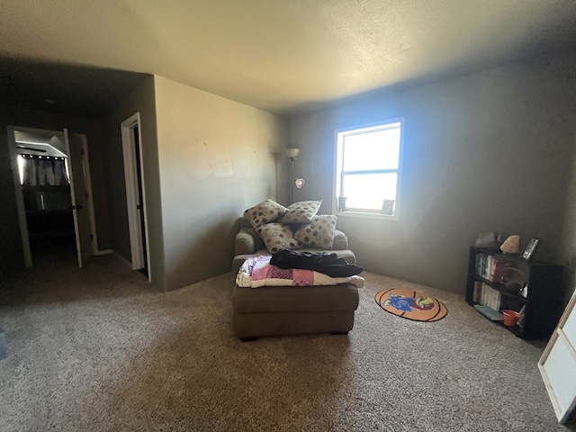 sitting room with carpet