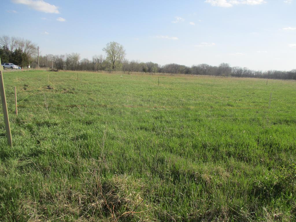 1101 N Walnut, Kirksville, MO 63501