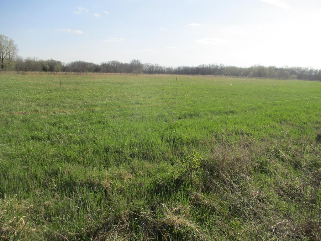 1101 N Walnut, Kirksville, MO 63501
