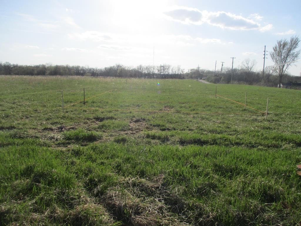 1101 N Walnut, Kirksville, MO 63501