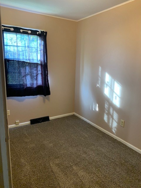 unfurnished room featuring carpet floors, baseboards, visible vents, and ornamental molding