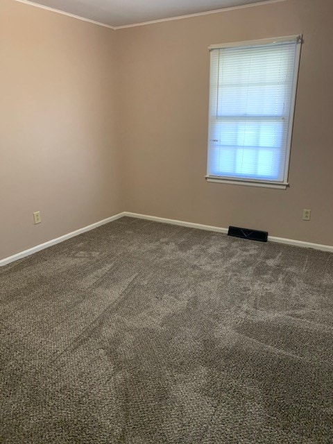 empty room with carpet, visible vents, crown molding, and baseboards