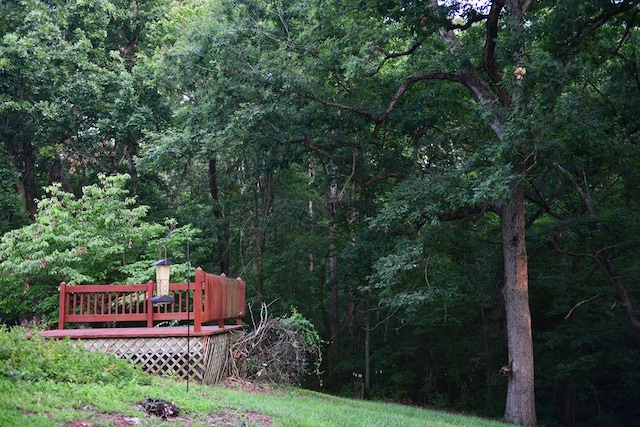 view of yard with a deck