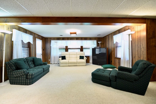 living room with carpet floors and wood walls