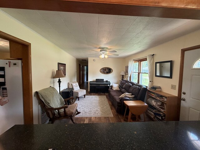4 Grim Ct N, Kirksville, MO 63501 - living area featuring wood finished floors, ceiling fan, and ornamental molding