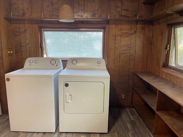 washroom with wooden walls