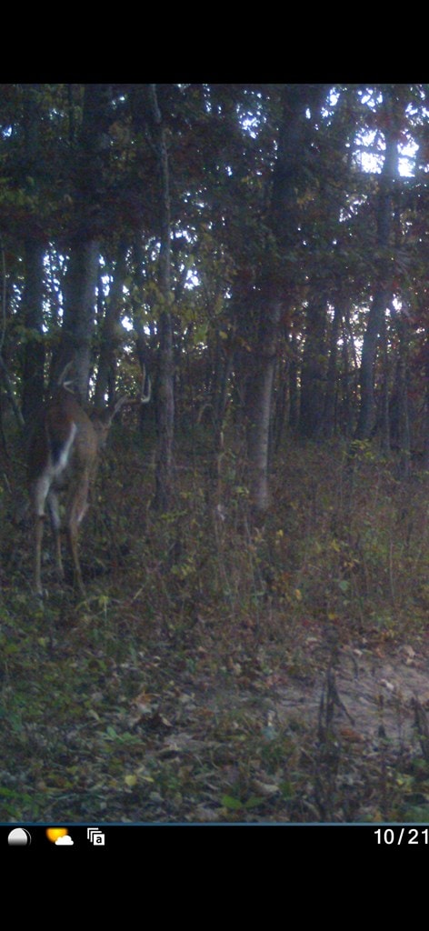 xx State Highway 15, Memphis, MO 63555 - photo 32