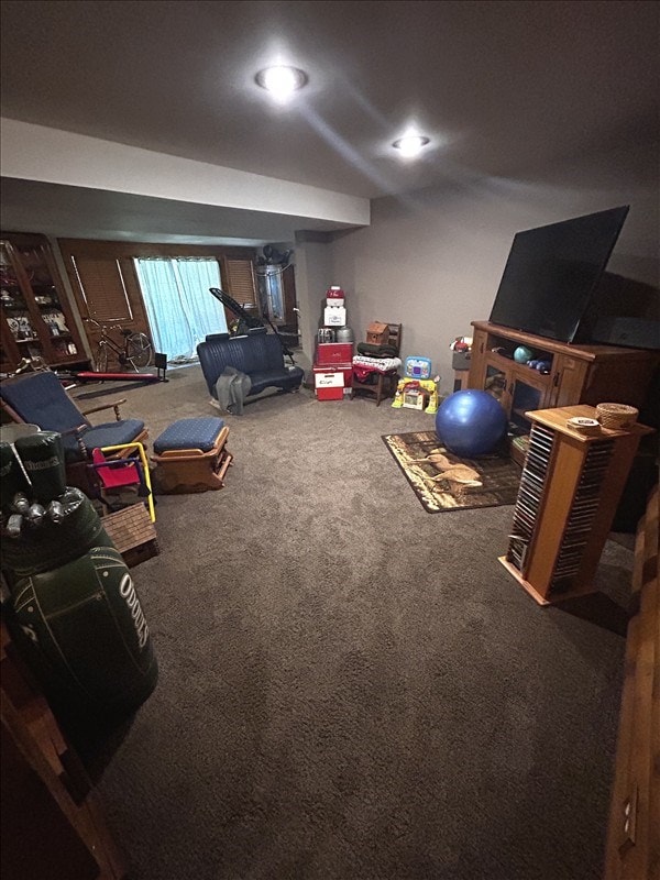 28730 State Highway T, Excello, MO 65247 - playroom featuring carpet flooring