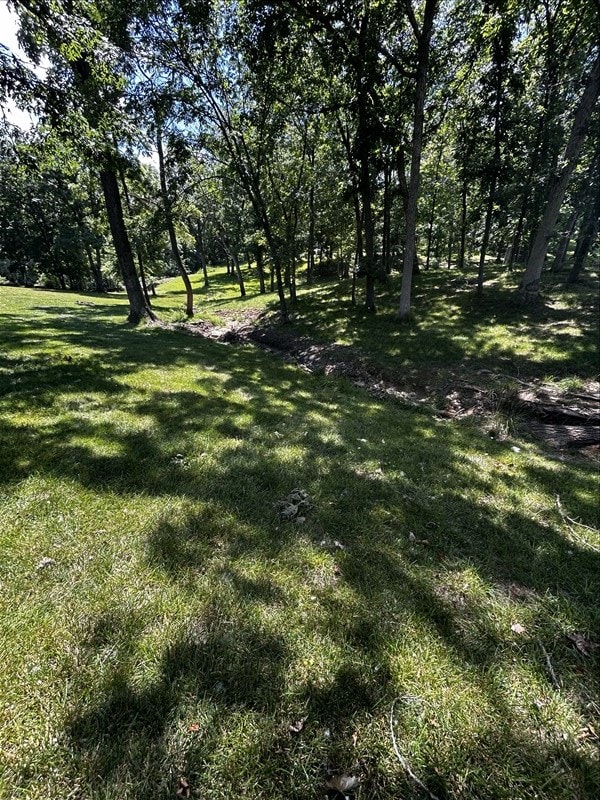 28730 State Highway T, Excello, MO 65247 - view of grassy yard