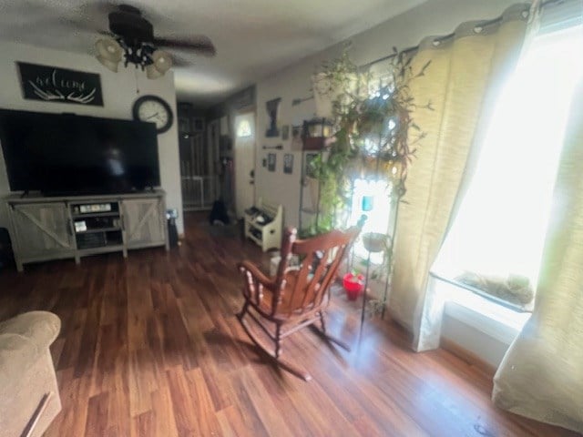 living room with wood-type flooring and ceiling fan