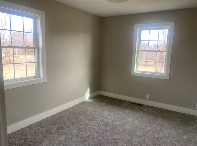 carpeted empty room with plenty of natural light