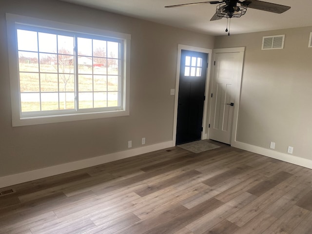 entrance foyer with ceiling fan, plenty of natural light, and wood-type flooring