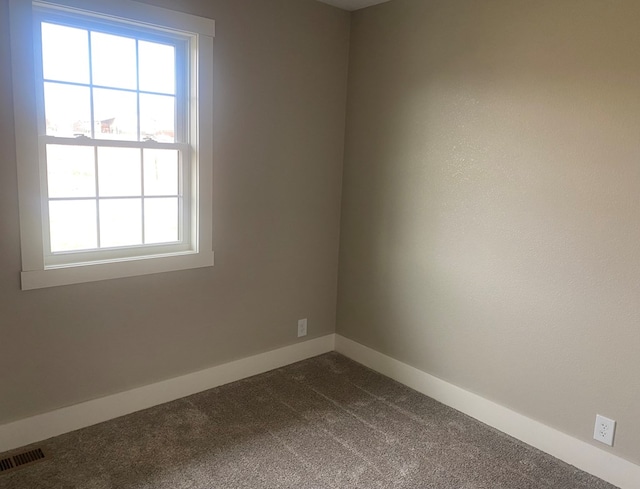 unfurnished room with carpet and plenty of natural light