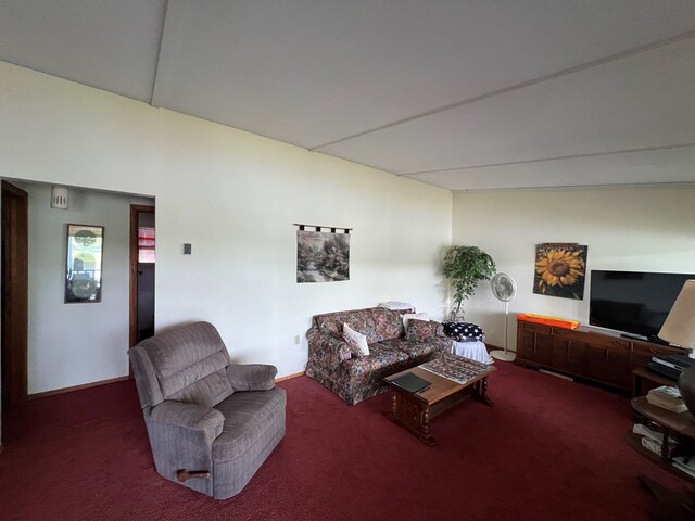 139 Lake Marie Dr, Princeton, MO 64673 - photo 22
