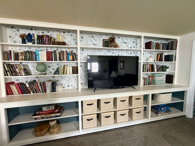 1205 Randolph St, Kirksville, MO 63501 - detailed view of carpet floors