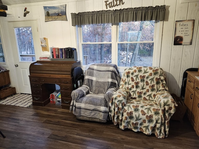 living area featuring wood walls and dark hardwood / wood-style flooring