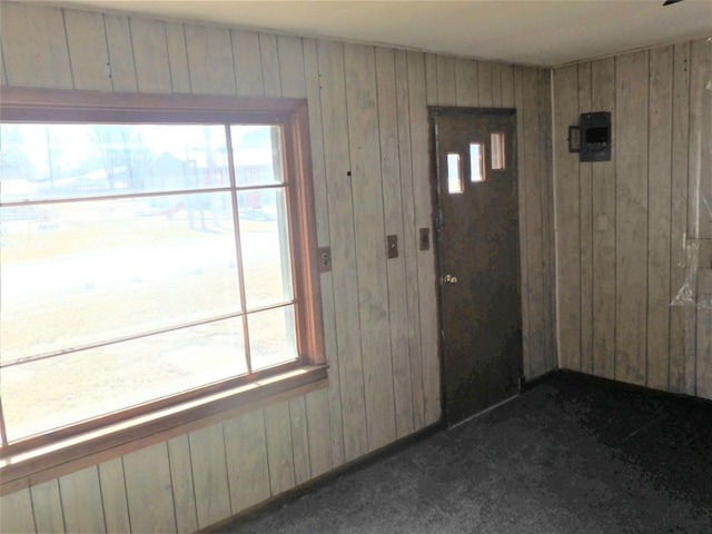 interior space with dark colored carpet, plenty of natural light, and wood walls