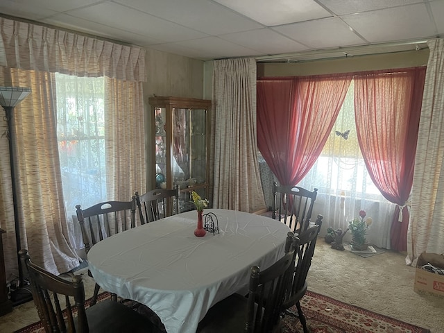 110 Van Buren St, Browning, MO 64630 - dining room featuring carpet and a paneled ceiling