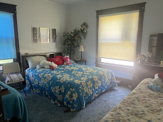 110 Van Buren St, Browning, MO 64630 - view of carpeted bedroom