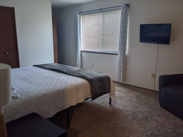 2602 Woodwinds Ct, Kirksville, MO 63501 - bedroom featuring baseboards and carpet