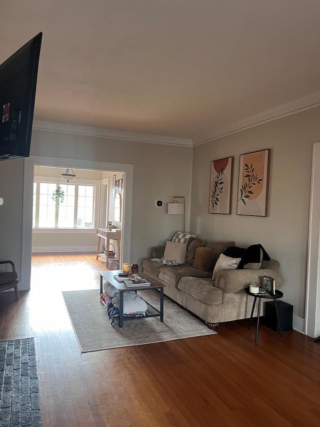 living room with ornamental molding and hardwood / wood-style flooring