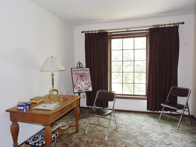 office space featuring carpet floors