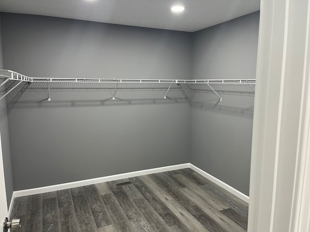 spacious closet featuring wood-type flooring