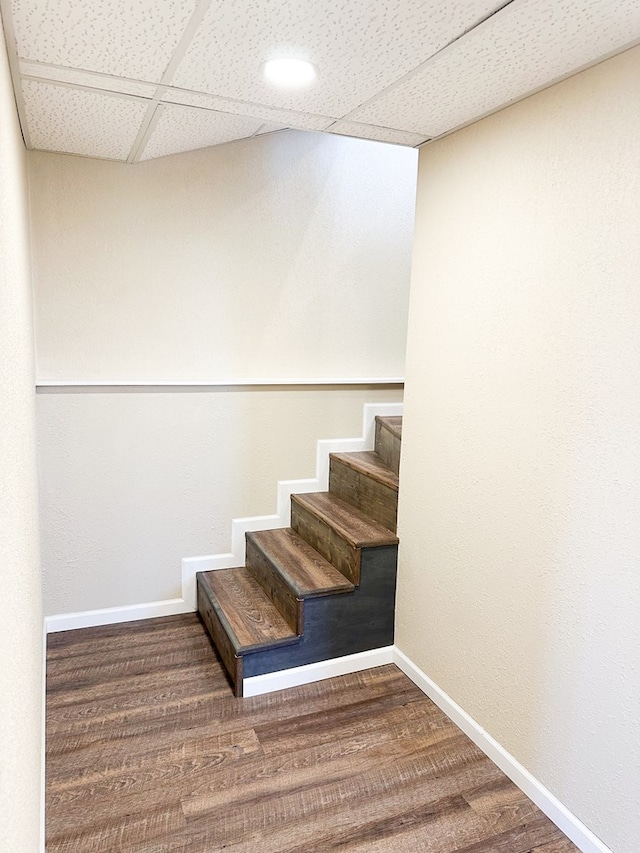 staircase featuring hardwood / wood-style floors and a paneled ceiling