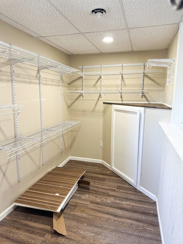 spacious closet with a drop ceiling and dark hardwood / wood-style floors