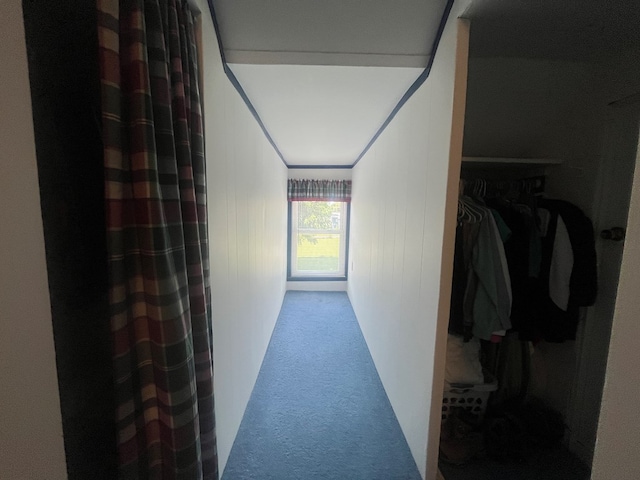 337 Calhoun St, Chillicothe, MO 64601 - corridor featuring carpet flooring