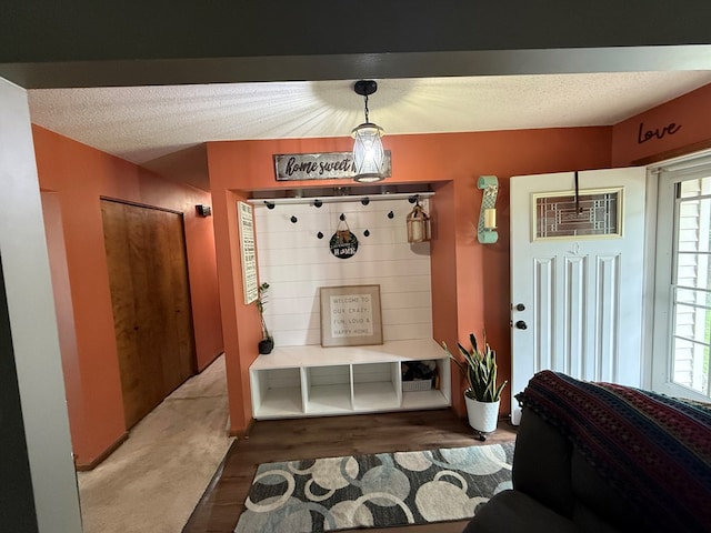 2515 N E St, Kirksville, MO 63501 - mudroom featuring healthy amount of natural light, wood finished floors, a textured ceiling, and a wall unit AC
