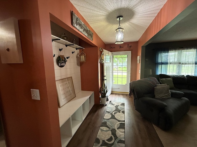 2515 N E St, Kirksville, MO 63501 - mudroom featuring dark wood-style flooring and a textured ceiling