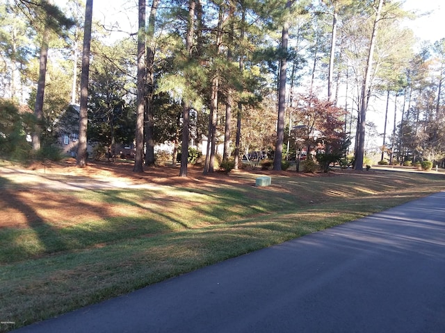 1143 Tall Timbers Ln W Unit 1, Williamston NC, 27892 land for sale