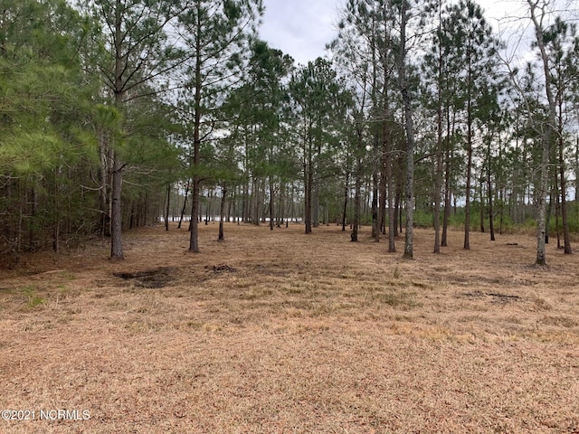 Listing photo 2 for LOT37 Sunset Point Rd Unit 37, Belhaven NC 27810