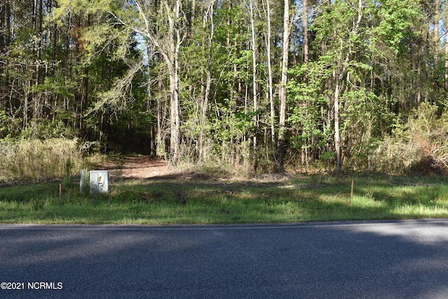 77 Mcgowan Rd, Bath NC, 27808 land for sale