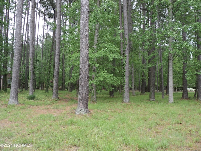 Listing photo 2 for LOT53 W Fairway Dr, Washington NC 27889