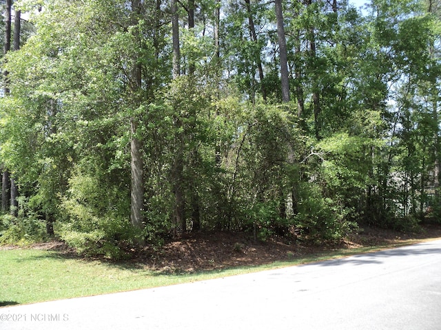 Listing photo 3 for LOT53 W Fairway Dr, Washington NC 27889