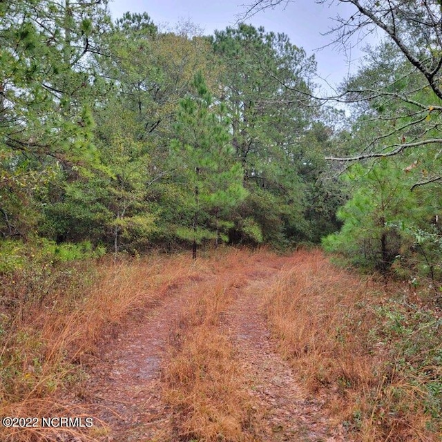 Listing photo 3 for 0 London St, Southport NC 28461