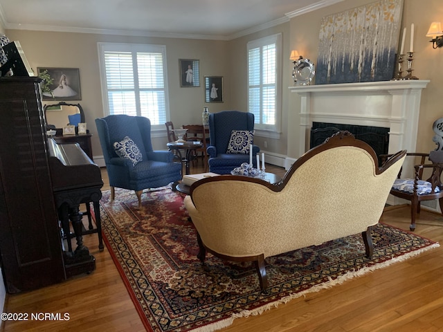 101 Spruce St, Washington, NC 27889 - living area with a fireplace, wood finished floors, crown molding, plenty of natural light, and baseboard heating