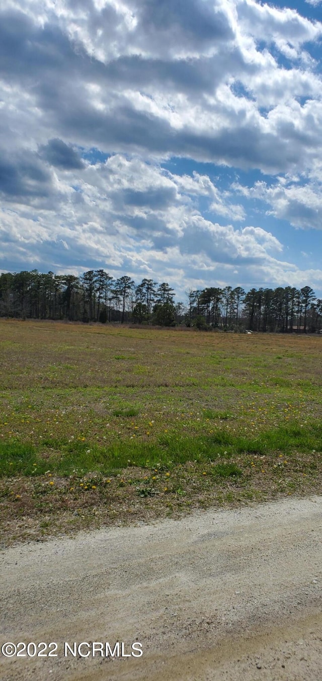 Listing photo 3 for 0 Dallas Paul Rd Unit 83, Belhaven NC 27810