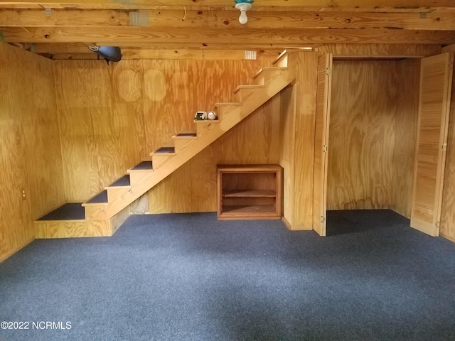 basement featuring carpet floors and wooden walls