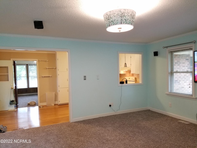 spare room with light carpet, ornamental molding, a textured ceiling, and a baseboard heating unit